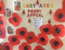 poppy display