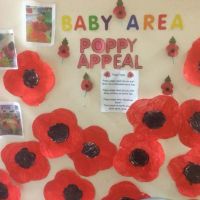 poppy display